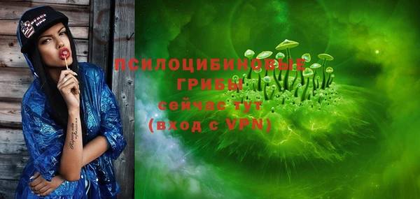 крисы Каменск-Шахтинский