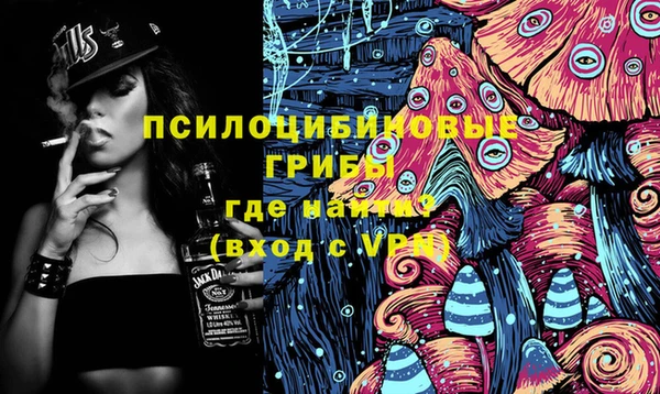 сатива Алексеевка