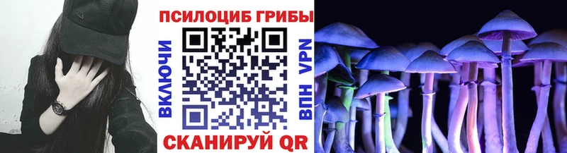 Псилоцибиновые грибы Psilocybine cubensis  Черногорск 