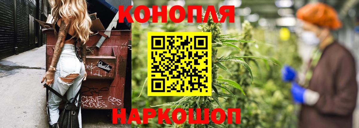 МАРИХУАНА план  Марихуана план  Бошки марихуана конопля  Марихуана VHQ  Черногорск  Вход с VPN 